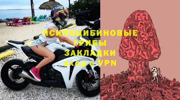 мдпв Абинск
