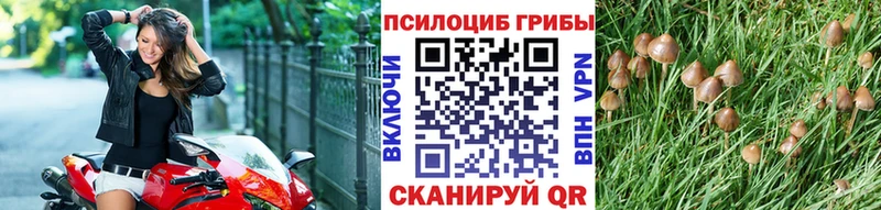 Псилоцибиновые грибы прущие грибы  закладка  Тула 